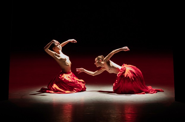 Bella Figura © Ann Ray